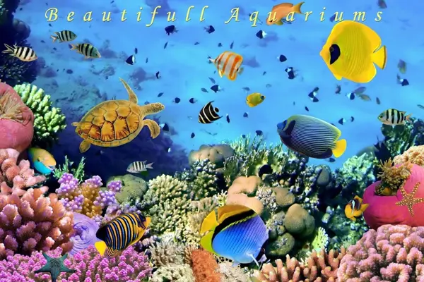 Aquarium Live Wallpaper android App screenshot 1